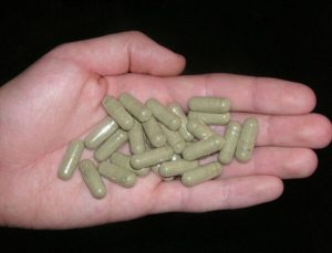 Mescaline capsule for sale